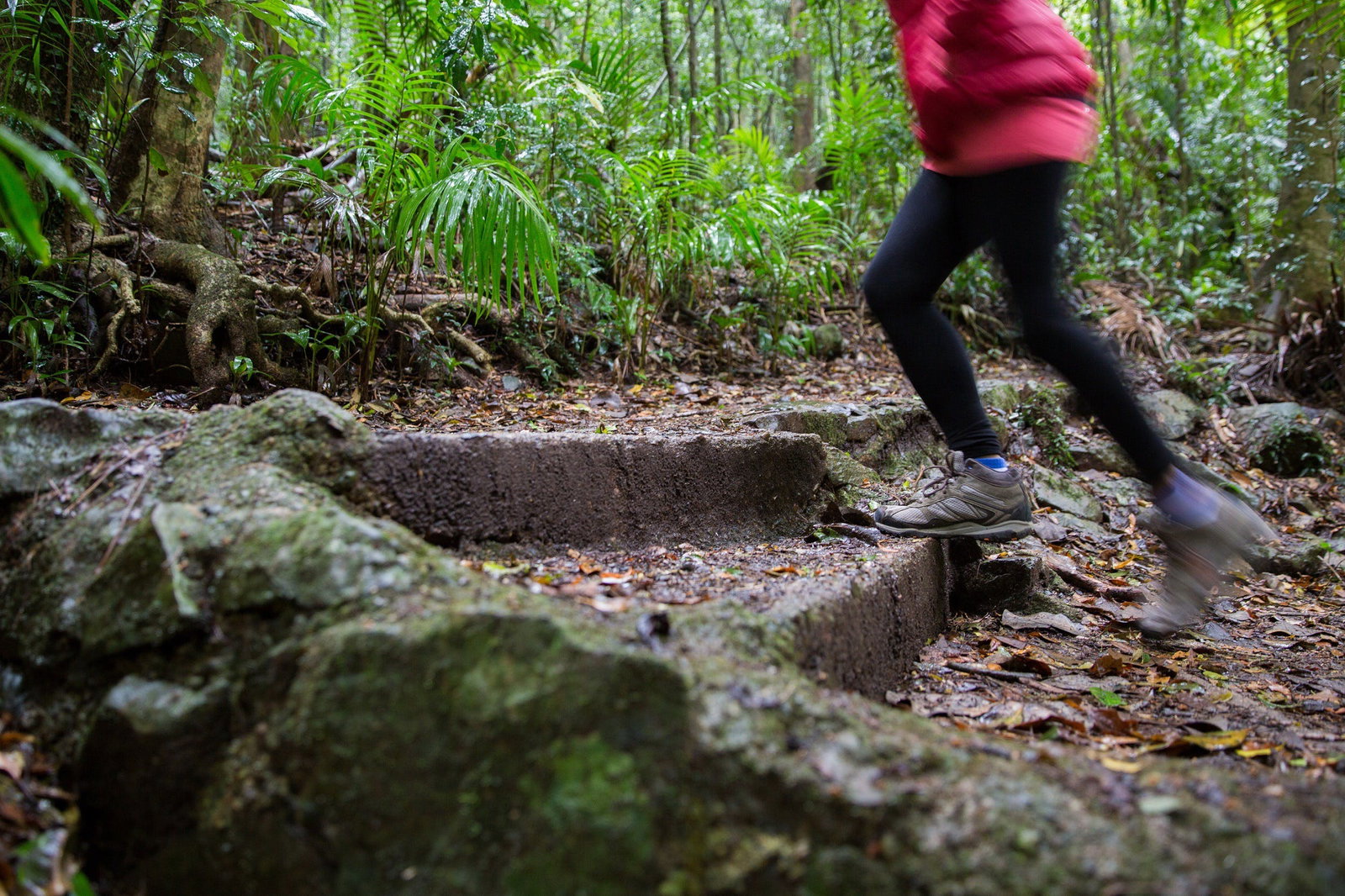 Mount Glorious QLD Attractions Brisbane