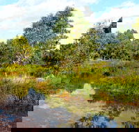 Mansfield Mullum Wetlands - Attractions Brisbane