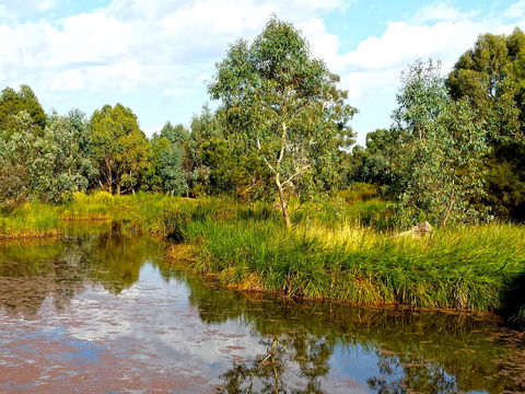 Mansfield Mullum Wetlands - Attractions Brisbane 0