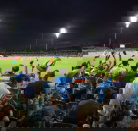 Manuka Oval - Attractions Brisbane