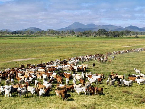 Marlborough - Attractions Brisbane 0