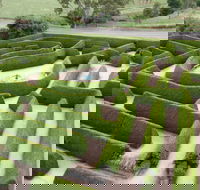 Mintaro Maze - Attractions Brisbane