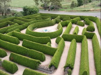 Mintaro Maze