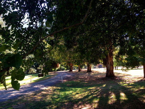 Mirimbah Park - Attractions Brisbane 0