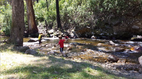 Mirimbah Park - Attractions Brisbane 1