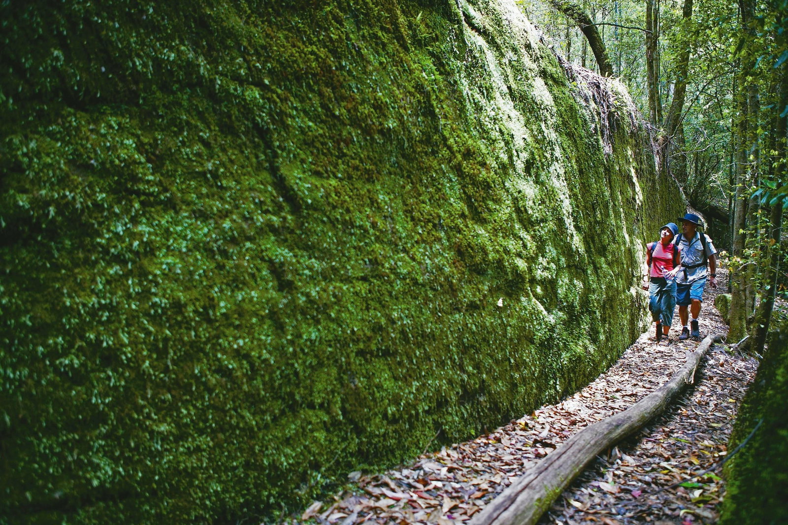 Morisset NSW Attractions Brisbane