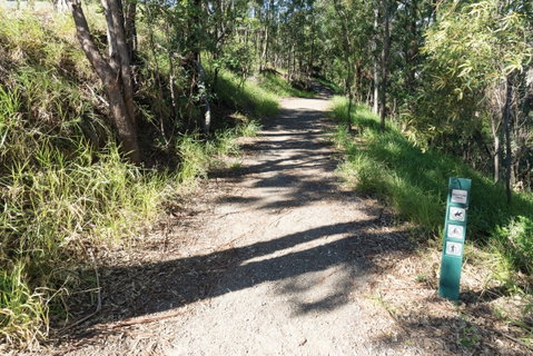 Mt Coot-tha Tourist Drive - Attractions Brisbane 2
