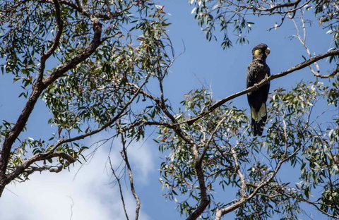 Mummel Gulf National Park - Attractions Brisbane 0