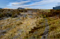 Murramarang Aboriginal Area Walking Track