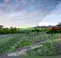 Nature and Foodies Trail - Attractions Brisbane