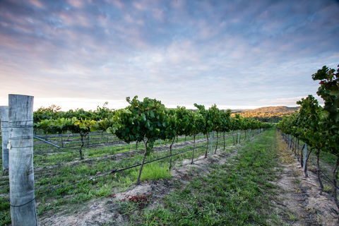 Nature And Foodies Trail - Attractions Brisbane 0