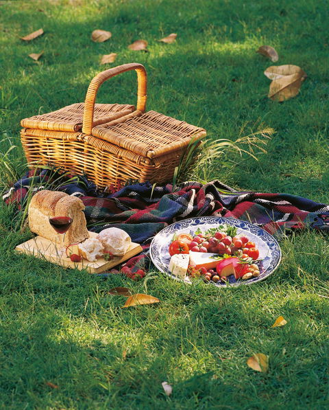 Nature And Foodies Trail - Attractions Brisbane 2
