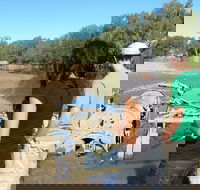 Paddle Steamer Wagga Wagga Wreck - Attractions Brisbane