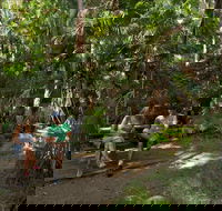 Palms picnic area - Attractions Brisbane