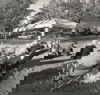 Pioneer Park - Attractions Brisbane