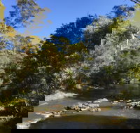 Pipers River Board Walk - Attractions Brisbane