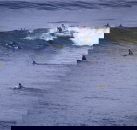 Point Addis Marine National Park - Attractions Brisbane