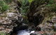 Potoroo Falls Walk - thumb 0