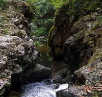 Potoroo Falls walk - Attractions Brisbane