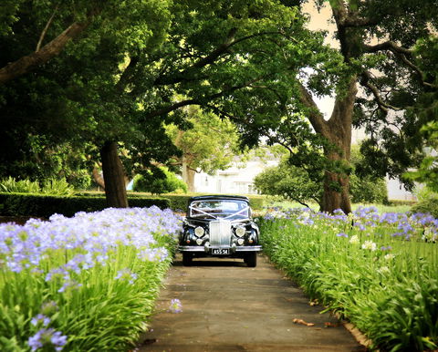 Queens Park, Toowoomba - Attractions Brisbane 2
