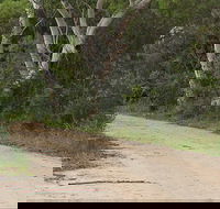 Riverview walking track - Attractions Brisbane