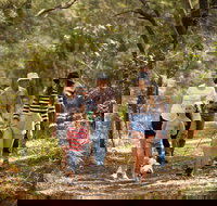 Russell Island Canaipa - Attractions Brisbane