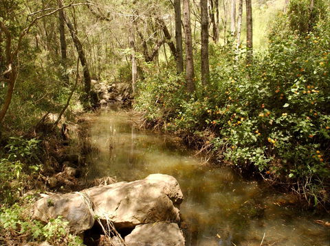 Sandy Creek Track - Attractions Brisbane 0
