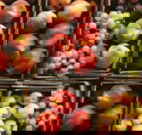 Severnlea - Attractions Brisbane