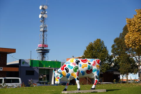 Shepparton Tower - Attractions Brisbane 1