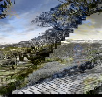 Snow Gums boardwalk - Attractions Brisbane