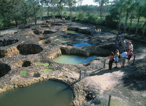 South Kolan - Attractions Brisbane 0