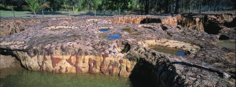 South Kolan - Attractions Brisbane 1