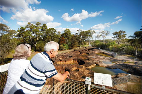 South Kolan - Attractions Brisbane 2
