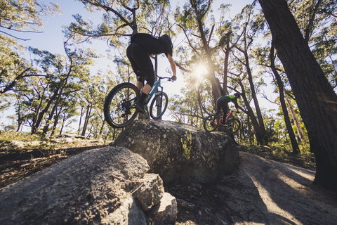 St Helens Mountain Bike Trails - Attractions Brisbane 1