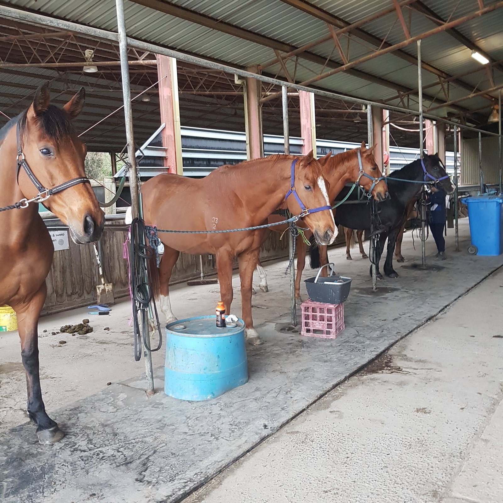 Cranbourne South VIC Attractions Brisbane