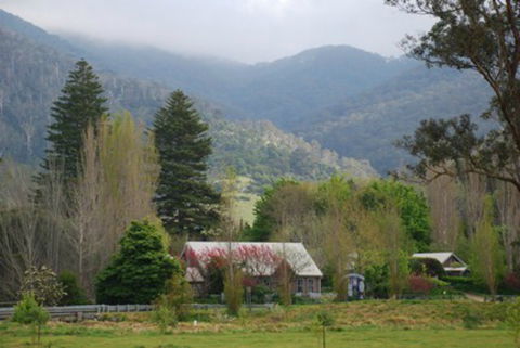 Tilba Tilba - Attractions Brisbane 0