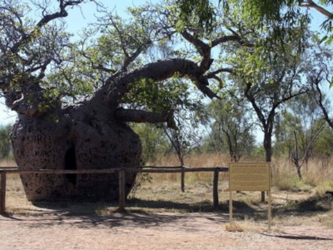 Time Walk, Windjana Gorge National Park - Attractions Brisbane 2