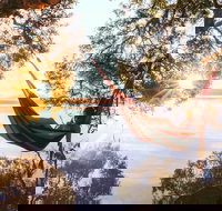 Tiona - Attractions Brisbane