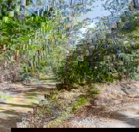 Tip to Tail Trail - Attractions Brisbane