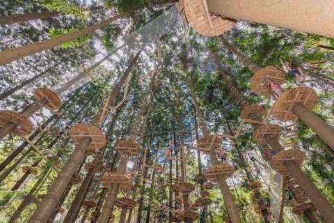 TreeTops Sydney The Hills - Attractions Brisbane 1