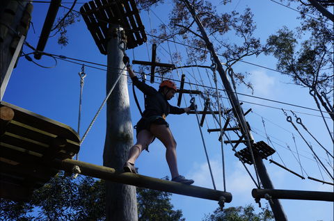 Trees Adventure Nowra Park - Attractions Brisbane 0