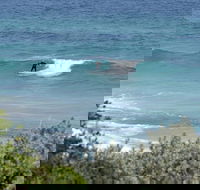 Trigg Island Beach - Attractions Brisbane
