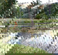 Tumut Wetlands - Attractions Brisbane
