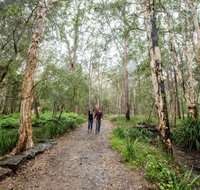 Venman Bushland National Park - Attractions Brisbane