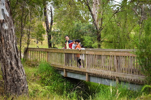 Westerfolds Park - Attractions Brisbane 0