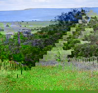 Wild Dog Barrier Fence - Attractions Brisbane