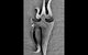 William Verdon Jewellers - thumb 2