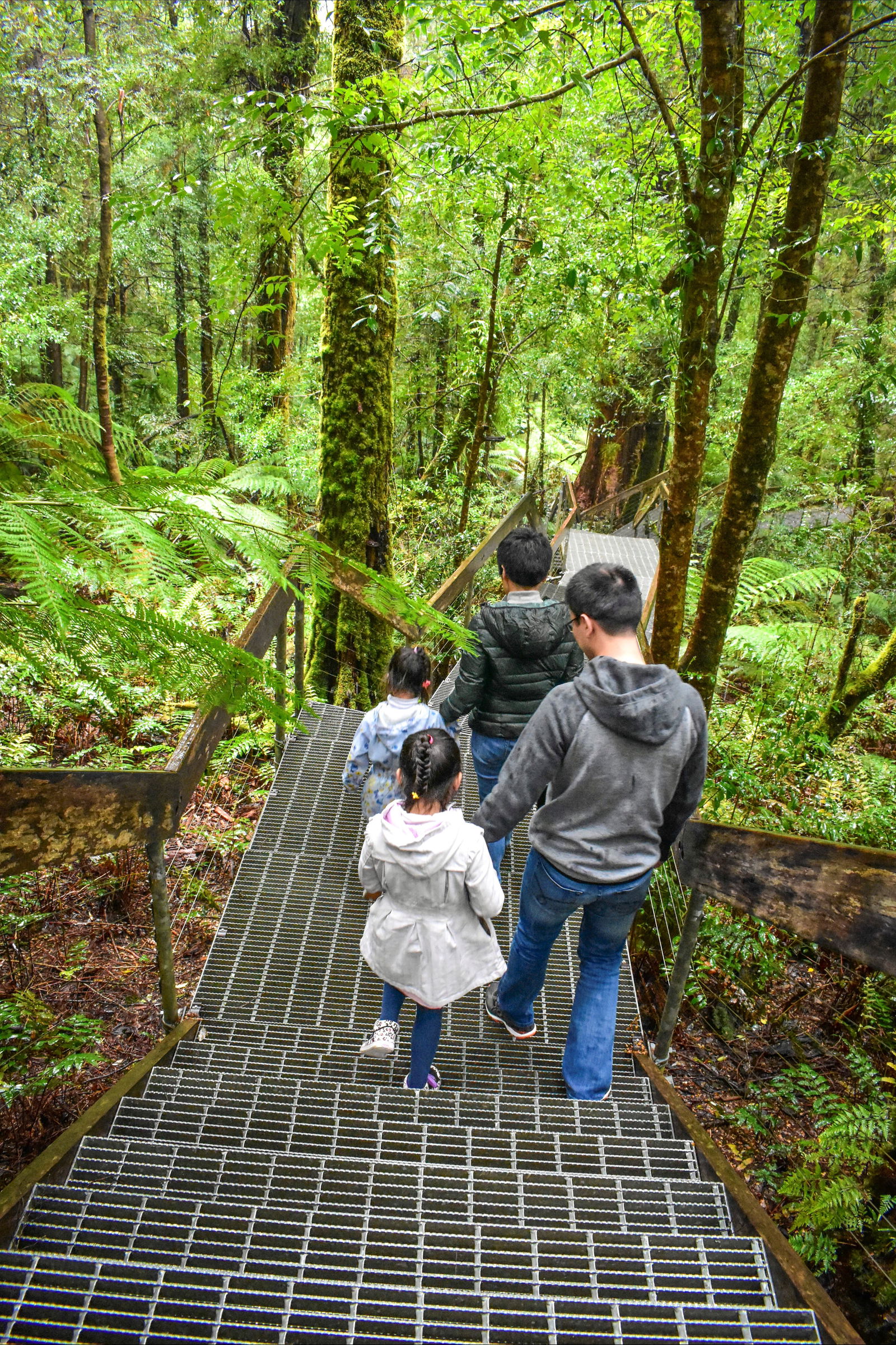 Reefton VIC Attractions Brisbane