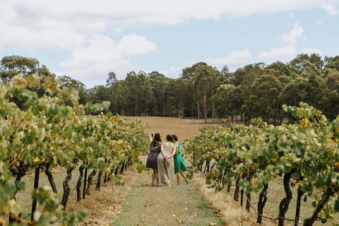 Hunter Valley Premium Food & Drink Pairing Tour - Attractions Brisbane 5