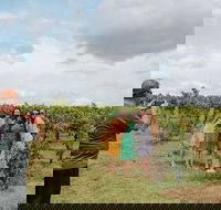 Sample the Hunter Half Day Tour with Lunch - Attractions Brisbane